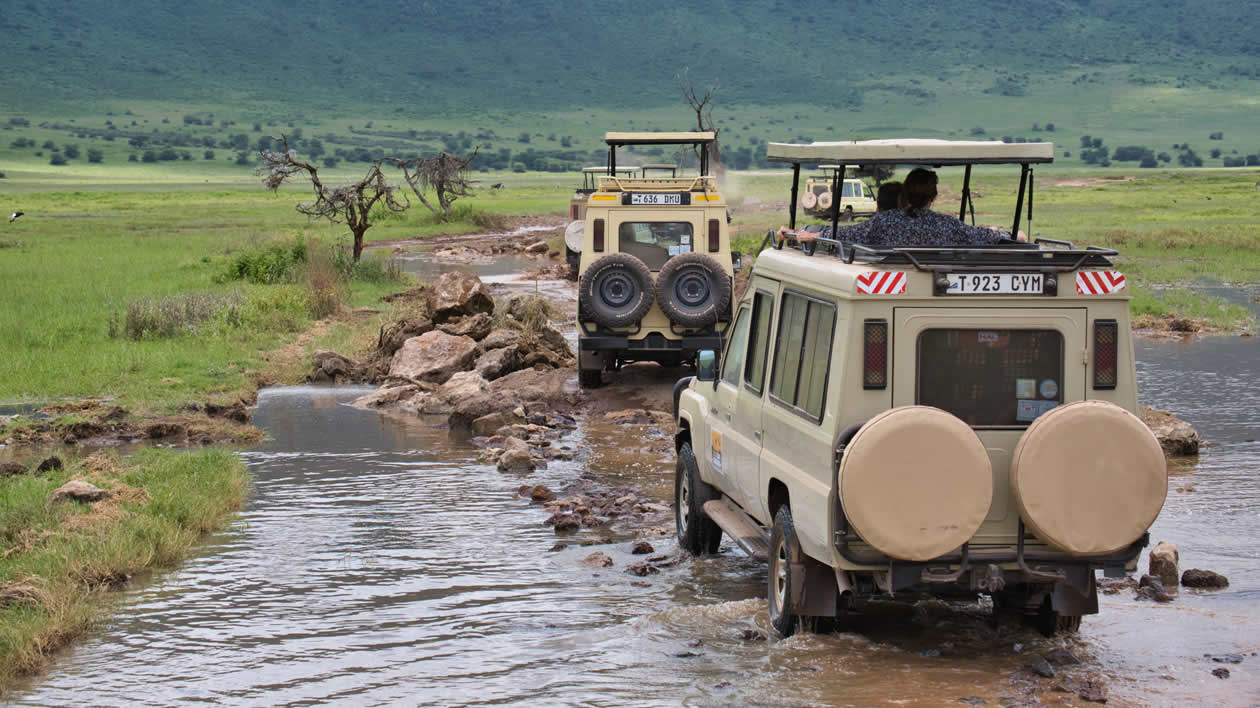 You are currently viewing 6 Days Lake Manyara, Serengeti, Ngorongoro Crater & Tarangire
