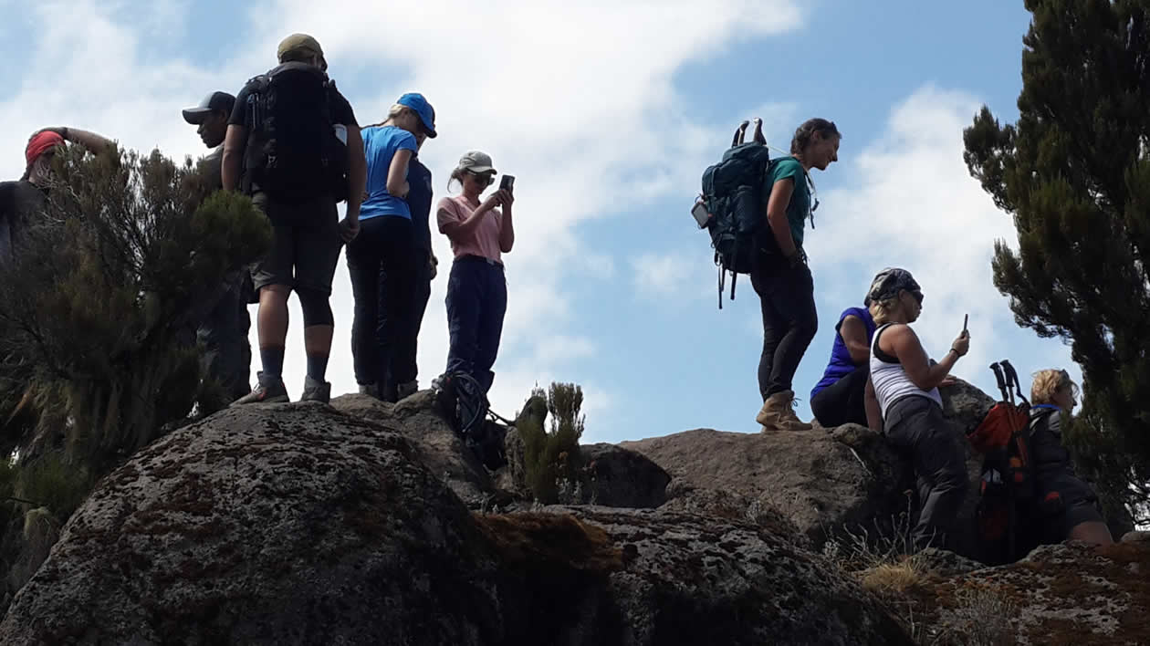 You are currently viewing 7 Days Machame Route