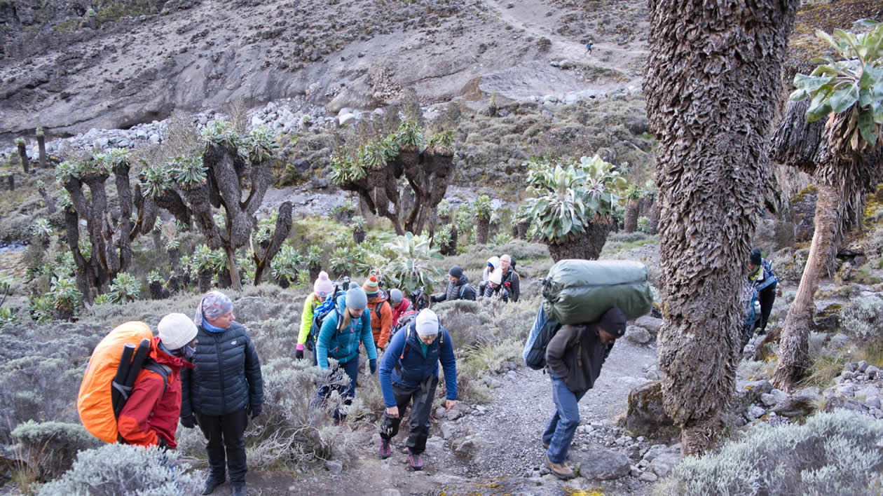 You are currently viewing 6 Days Marangu Route
