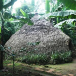 Chagga Village