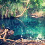 Kikuletwa Hot Spring