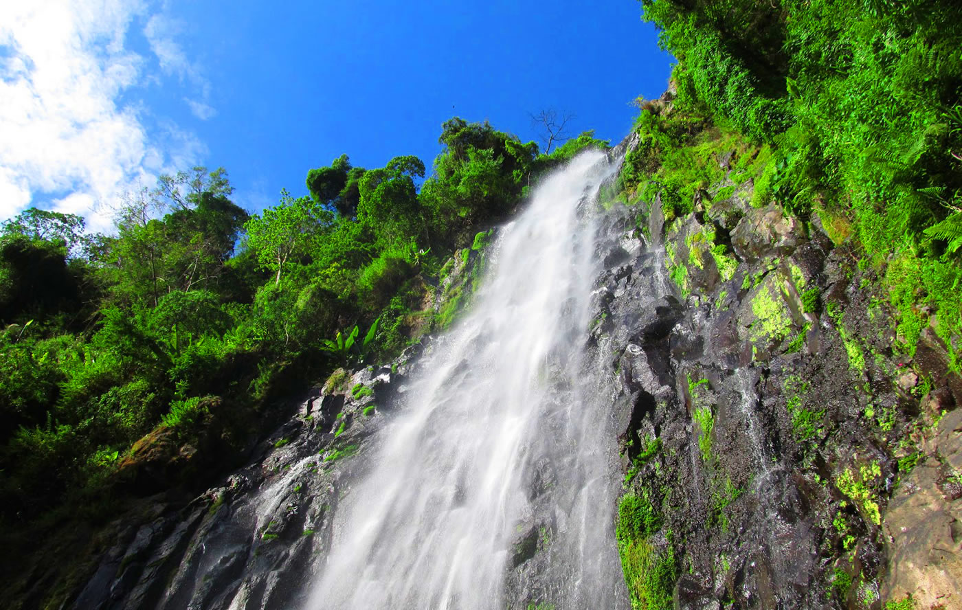 Read more about the article Materuni Waterfalls & Coffee