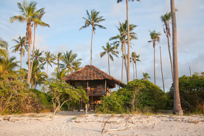 You are currently viewing Saadani Tour & Holiday
